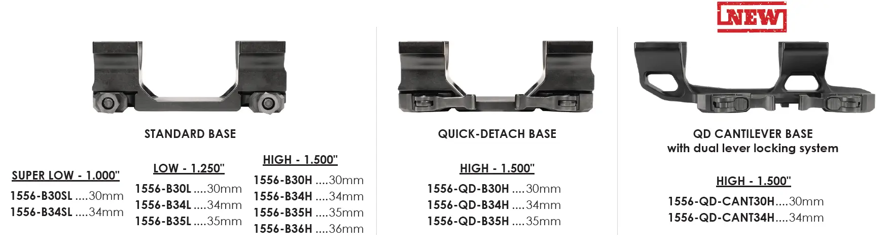 Base Models